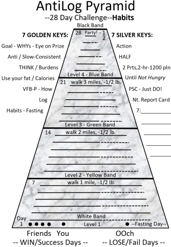 AntiLog Pyramid
